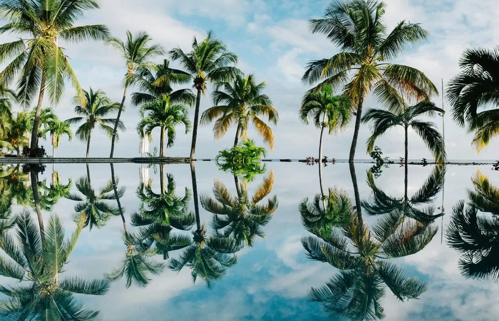Chèques-Vacances 2025 pour les freelances : Guide complet et avantages